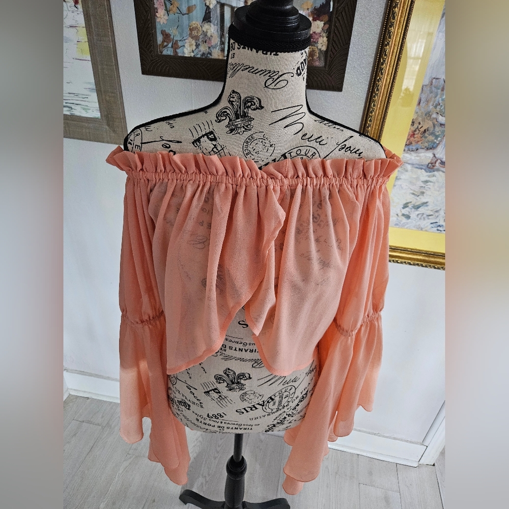 Live 4 Truth Peach Chiffon Blouse Bell Sleeves Sz M